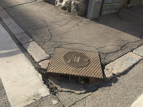 Sewer Grate